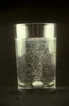 Biology, glass, glasses, pill, pills, drug, drugs, tablet, tablets, dissolve, dissolves, dissolving, tablet dissolving, tablets dissolving, pills dissolving, pill dissolving, bubble, bubbles, glass of water, glasses of water, water, science, medication, medicine, medicines.