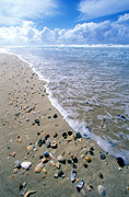 Australia, sand, shell, shells, beach, beaches, australian beaches, sea, seascapes, shoreline, shorelines, seashore, seashores, cloud, clouds, coast, coasts, coastal, coastline, coastlines, DFF, DFFBCHS.