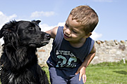 Animal, Animals, people, child, children, toddler, toddlers, male, males, boy, boys, pet, pets, dog, dogs, domestic, domestic dog, domestic dogs, Australia, Sport pictures, Sports, balloon images, hot air balloons