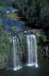 Australia, New South Wales, dorrigo, dorrigo np, dorrigo national park, dangar falls, great dividing range, dangars falls, dangar waterfall, National Park, National Parks, dangar water fall, waterfall, waterfalls, running water.