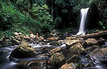 Australia, qld, queensland, tamborine np, tamborine national park, curtis falls, joalah, waterfall, waterfalls, running water, National Park, National Parks.