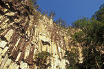 Australia, New South Wales, whian, whian whian, whian whian state forest, minyon falls, minyon falls gorge, gorge, gorges, cliff, cliffs.