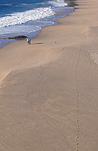 Australia, New South Wales, kiama, kendalls beach, beach, beaches, nsw beach, new South Wales beach, nsw beaches, new South Wales beaches, australian beach, australian beaches, coast, coasts, coastal, coastline, coastlines, seashore, seashores, sea shore, sea shores, sand.