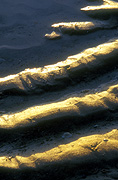 Sand, sand pattern, sand patterns, burleigh head, burleigh head np, National Park, National Parks, burleigh head national park, qld, queensland, australia.