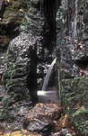 Australia, qld, queensland, lamington, great dividing range, lamington np, lamington national park, nagarigoon, nagarigoon falls, National Park, National Parks, waterfall, waterfalls, running water.