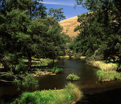 Australia, New South Wales, nowendoc, cooplacurripa, cooplacurripa river, river, rivers, tree, trees, rock, rocks, water.