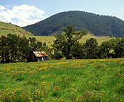 Australia, New South Wales, gloucester, rural, rural scene, rural scenes, hut, huts, shack, shacks.