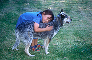 Child, Children, people, female, females, girl, girls, Animal, Animals, people and animals, children and animals, people with animals, children with animals, dog, dogs, pet, pets, domestic animal, domestic animals, heeler, heelers, blue heeler, blue heelers, cattle dog, cattle dogs, cattledog, cattledogs, hug, hugs, hugging, cuddle, cuddles, cuddling, embrace, embraces, embracing, children and animals, people and animals, children with animals, people with animals.