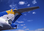 Transport, transportation, vehicle, vehicles, plane, planes, aircraft, aircrafts, aeroplane, aeroplanes, Australia, Bird, birds, Australian bird, Australian birds, cockatoo, cockatoos, sulphur-crested cockatoo, sulphur-crested, sulphur crested, sulphur-crested cockatoos, sulphur crested cockatoo, sulphur crested cockatoos, parrot, parrots, white, white cockatoo, white cockatoos, greater sulfur, greater sulfur-crested, great sulfur-crested cockatoo, greater sulfur crested cockatoos.