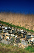 Europe, Western Europe, UK, Britain, British Isles, England, United Kingdom, Great Britain, Cornwall, wall, walls, stone wall, stone walls, AM04,