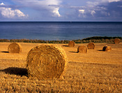 Europe, Western Europe, UK, Britain, British Isles, England, United Kingdom, Great Britain, cornwall, rural, rural scene, rural scenes, farming, straw, bale, bales, straw bale, straw bales, field, fields, am04,