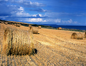 Europe, Western Europe, UK, Britain, British Isles, England, United Kingdom, Great Britain, cornwall, rural, rural scene, rural scenes, farming, straw, bale, bales, straw bale, straw bales, field, fields, am04,
