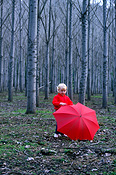Australia, child, children, girl, girls, female, females, umbrella, umbrellas, forest, forests, wood, woods.