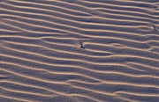 Australia, Beach, Beaches, water, coast, coasts, coastal, coastline, coastlines, sand.