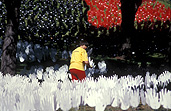 Australia, south Australia, SA, adelaide, people, rymill park, reconcile, reconciliation, Australian artists against racism, AAAR, Native title and reconciliation, native title, native titles, ANTAR, aboriginal, aboriginals, aborigine, aborigines, racism, racist, hand, hands, sea of hands, indigenous, indigenous people, indigenous australians, torres strait islanders.