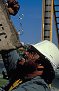 Australia, people, man, men, male, males, occupation, occupations, outdoors, water, helmet, helmets