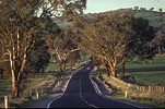 Road, roads, sealed road, sealed roads, wagga, wagga wagga, parkes, NSW, New South Wales, Australia, bend, bends.