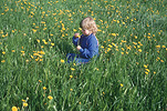 People, child, Children, girl, girls, female, females, girl, girls, dandelion, dandelions, taraxacum, taraxacum officinale, officinale, Flora, flower, flowers, yellow, yellow flower, yellow flowers.
