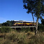 Australia, queensland, qld, normanton, train, trains, gulflander, gulf lander, gulflander train, gulf land trains, transport, transportation, vehicle, vehicles, rail, tree, trees.
