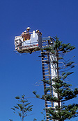 Disaster, Disasters, fire, fires, demonstration, demonstrations, emergency, emergencies, firemen, fire-men, fire fighters, fire-fighters, tower, towers, australia, south australia, sa, tree, trees, pine tree, pine trees, araucaria, araucarias, araucaria heterophylla, australia, men, man, male, males, crane, cranes, tree, trees.