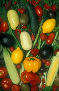 Vegetable, vegetables, mixed, mixed vegetables, cucumber, cucumbers, tomato, tomatoes, lemon, lemons, strawberry, strawberries, avocado, avocados, radish, radishes, kiwifruit, kiwi fruit.