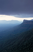 Australia, New South Wales, national park, national parks, border ranges, great dividing range, border ranges np, border ranges national park.