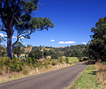 Australia, New South Wales, gloucester, road, roads, sealed, sealed road, sealed roads.