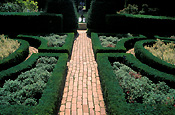 Europe, Western Europe, Britain, British Isles, England, United Kingdom, Great Britain, UK, Gloucester, Gloucestershire, cotswolds, Hidcote, Hidcote Manor, garden, gardens, english garden, english gardens, manor, manors, hidcote manor garden, chipping camden, fuchsia garden, hedge, hedges, hedging, footpath, footpaths, path, paths, pathway, pathways.
