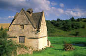 Europe, Western Europe, Britain, British Isles, England, United Kingdom, Great Britain, UK, architecture, Gloucester, Gloucestershire, cotswolds, naunton, naunton dovecote, dovecote, dovecotes, medievil, medievil dovecote, medievil dovecotes, pigeon, pigeons.