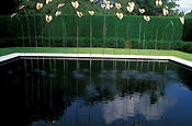 Europe, Western Europe, UK, Britain, British Isles, England, United Kingdom, Great Britain, kiftsgate, kiftsgate court, kiftsgate court gardens, garden, gardens, hidcote, chipping campden, cotswolds, gloucestershire, pond, ponds, water feature, water features, waterfeature, waterfeatures, lawn, lawns.