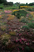 Europe, Britain, Great Britain, Scotland, kirkcudbrightshire, river dee, dee, threave, threave castle, castle, castles, garden, gardens.
