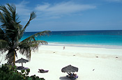 Caribbean, caribbean islands, bahamas, the bahamas, harbour island, beach, beaches, coast, coasts, coastline, coastlines, seashore, seashores, shoreline, shorelines, umbrella, umbrellas, palm tree, palm trees, palm, palms.
