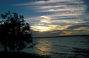 Australia, Qld, Queensland, Noosa, sunset, sunsets, sunrises and sunsets, mood, mood scene, mood scenes, beach, beaches, coast, coasts, coastline, coastlines, seashore, seashores, shoreline, shorelines, tree, trees, Qld beach, Qld beaches, Queensland beach, queensland beaches, Australian beach, Australian beaches, cloud, clouds.