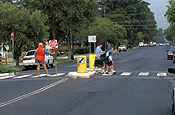 Australia, New South Wales, child, children, school child, school children, zebra crossing, zebra crossings, pedestrian, school, schools, tree, trees, pedestrians, pedestrian crossing, pedestrian crossings, road, roads, sealed, sealed road, sealed roads, sign, signs, stop, stop sign, stop signs, lollypop lady, lollypop ladies, lollypop man, lollypop men, safety, crossing, crossings.