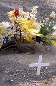 Australia, sa, south australia, salisbury, grave, graves, graveyard, graveyards, grave yard, grave yards, cemetery, cemeteries, headstone, headstones, head stone, head stones, gravestone, gravestones, grave stone, grave stones, tombstone, tombstones, tomb stone, tomb stones, burial, burials, burial ground, burial grounds, death, deaths.