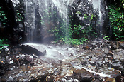 Australia, qld, queensland, springbrook, great dividing range, springbrook national park, springbrook NP, National Park, National Parks, poondahra falls, waterfall, waterfalls, water, running water.