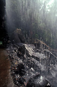 Australia, qld, queensland, springbrook, great dividing range, springbrook national park, springbrook NP, National Park, National Parks, blackfellows falls, waterfall, waterfalls, water, running water.