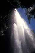 Australia, qld, queensland, springbrook, great dividing range, springbrook national park, springbrook NP, National Park, National Parks, twin falls, waterfall, waterfalls, water, running water.