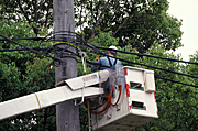 Men, Man, Male, Males, outdoors, occupation, occupations, cherry picker, cherry pickers, industry, cherrypicker, cherrypickers, industry, electricity, electricity lines, power, power lines, cherry-picker, cherry-pickers, sydney, Australia, New South Wales.