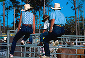 Australia, people, family, families, parent, parents, parenting, parenthood, horse, horses, hat, hats, cowboy, cowboys, child, children, man, men, male, males, female, females, outdoors, fence, fences, animal, animals.