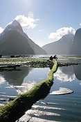 Pacific islands, new zealand, south island, milford sound, mountain, mountains, fiordland, fiordlands.