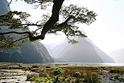 Pacific islands, new zealand, south island, milford sound, mountain, mountains, fiordland, fiordlands.
