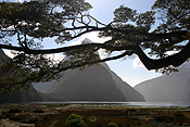 Pacific islands, new zealand, south island, milford sound, mountain, mountains, fiordland, fiordlands.