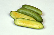 Vegetable, vegetables, Cucurbitaceae, Cucumis, Cucumis sativus, sativus, Cucumber, Cucumbers, burpless, Burpless cucumber, Burpless cucumbers, Lebanese, Lebanese cucumber, Lebanese cucumbers, baby lebanese, baby lebanese cucumber, baby lebanese cucumbers, quke, qukes, oriental, Oriental cucumber, Oriental cucumbers, telegraph, Telegraph cucumber, Telegraph cucumbers.
