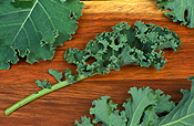 Food, Vegetable, vegetables, Brassica, brassica oleracea, kale, curly, curly kale, acephala, acephala group, winterbor, winterbor kale, curly, curly kale, brassicaceae, collard, collards.