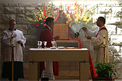 Religion, religions, religious, catholic, catholics, catholic religion, roman catholic, roman catholics, roman catholic church, roman catholicism, christianity, christian, christians, faith, spirituality, worship, worships, worshipping, people, priest, priests, consecrate, consecrates, mass, MM49,
