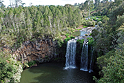 Australia, New South Wales, Dorrigo, Dorrigo NP, Dorrigo national park, national park, national parks, forest, forests, rainforest, rainforests, waterfall, waterfalls, dangar, dangar falls, great dividing range.