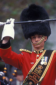 people, guard, guards, uniform, uniforms, hat, hats, soldier, soldiers, queens guards, queens guard, parade, parades, man, men, male, males, hat, hats, glove, gloves.