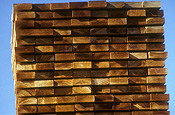 Industry, timber, timber industry, wood, woodpile, woodpiles, plank, planks, pile of wood, piles of wood, logging, logging industry.