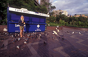 People, man, men, male, males, homeless, homeless people, homeless man, homeless men, derelict, derelicts, australia, sydney, nsw, new South Wales, pigeon, pigeons, kiosk, kiosks.